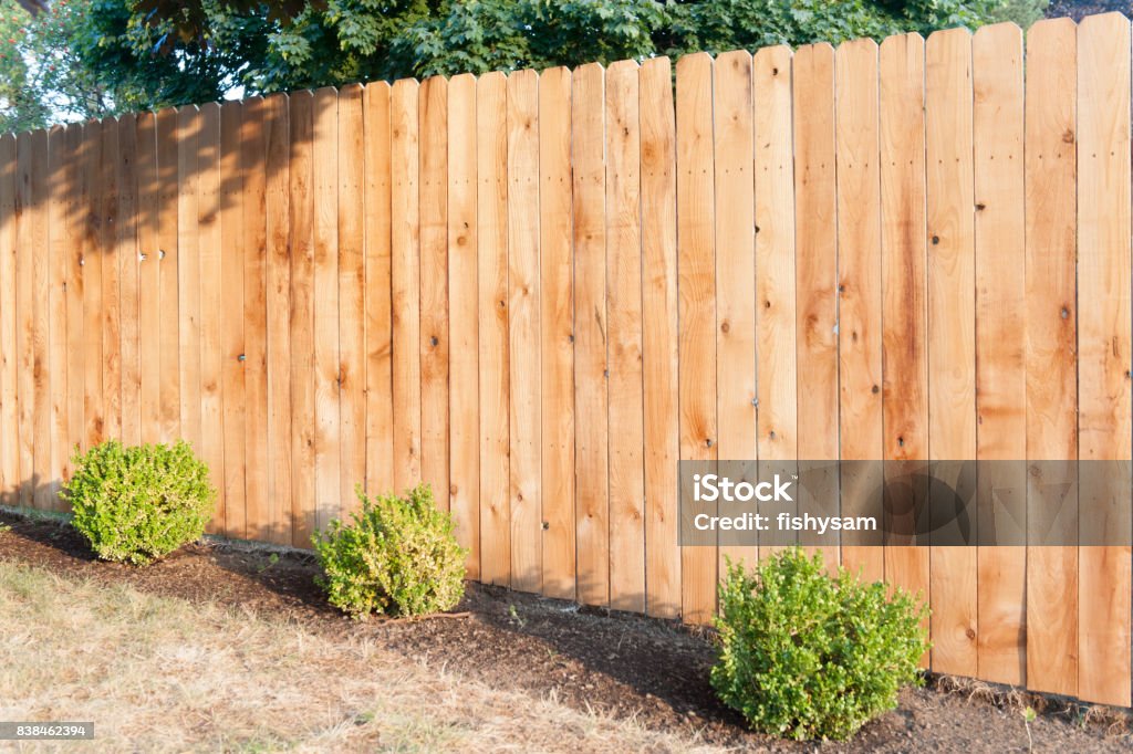 Golden Fence Evening sun shining on a new fence. Fence Stock Photo