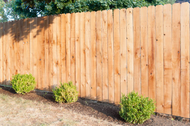 золотой забор - garden fence стоковые фото и изображения