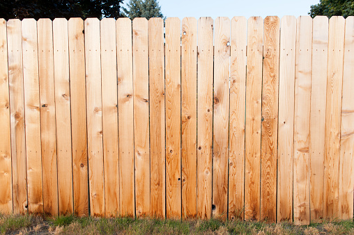 Evening sun shining on a new fence.