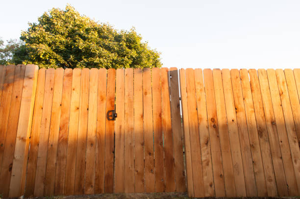 istock Golden Fence 838462426