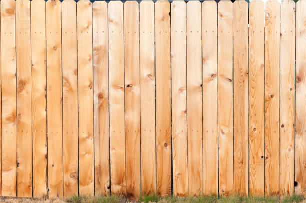 istock Golden Fence 838462438