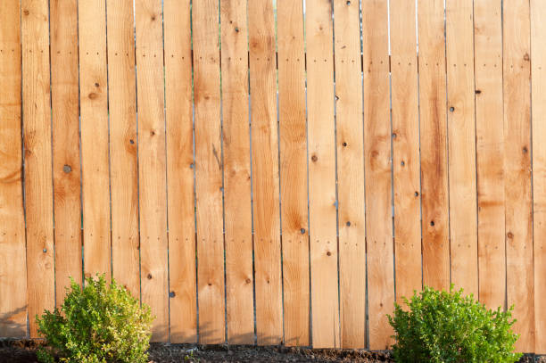 istock Golden Fence 838462478