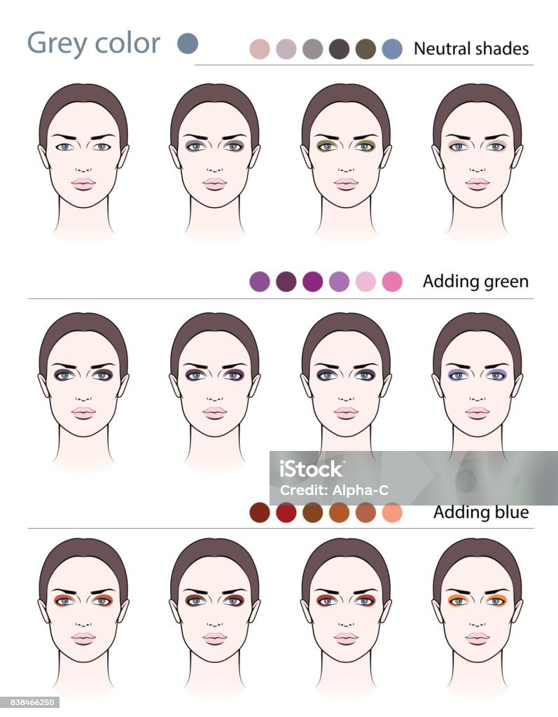 Eyeshadow makeup Different types of eyeshadows on grey-eyed women Human Face stock vector