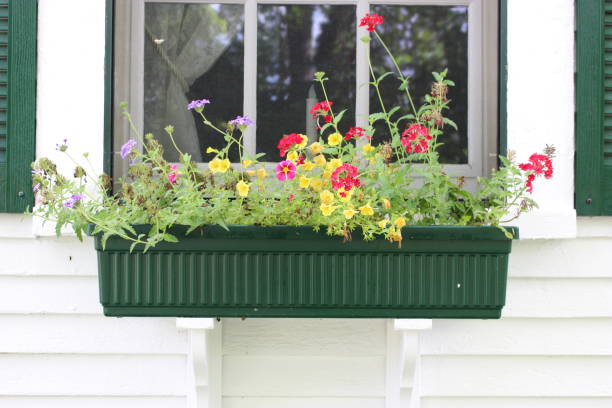istock flower planter hanging in front of a window with a candle 838469848