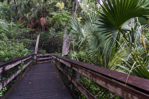 istock The path to the river, Rainbow Springs State Park, Florida 838470316