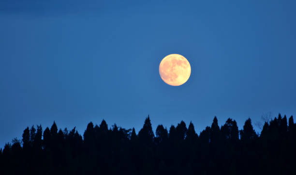 istock White last quarter moon in black sky 838472804