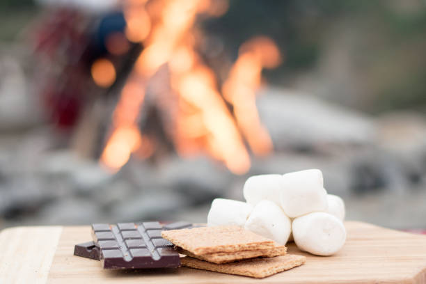 istock Smores Ingredients at a Beach Bonfire with Chocolate, Marshmellow, and Graham Crackers with Room for Copy 838473072