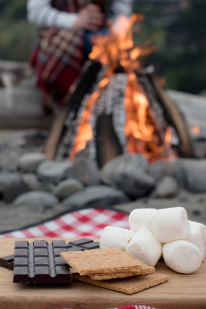 istock Smores Ingredients at a Beach Bonfire with Chocolate, Marshmellow, and Graham Crackers with Room for Copy 838473580