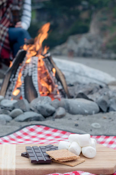 istock Smores Ingredients at a Beach Bonfire with Chocolate, Marshmellow, and Graham Crackers with Room for Copy 838473678