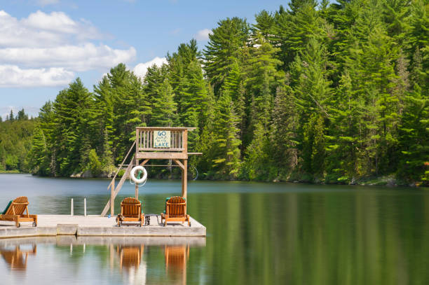 istock Wooden trampoline on a dock facing a lake 838477030