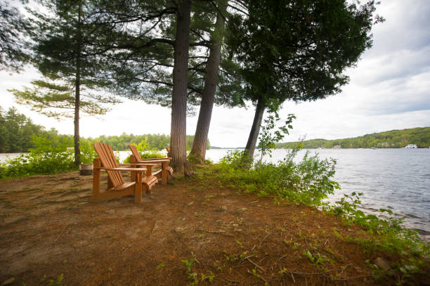 istock Muskoka chairs in a shade area 838477866