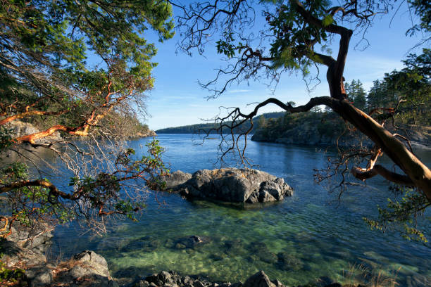 Smuggler Cove, Sunshine Coast, BC , Canada