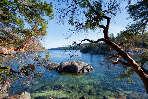 istock Smuggler Cove, Sunshine Coast, BC , Canada 838478268