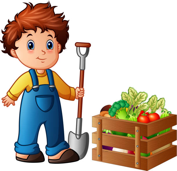 ilustrações, clipart, desenhos animados e ícones de agricultor de menino com pá com vegetais em uma caixa de madeira - 3409