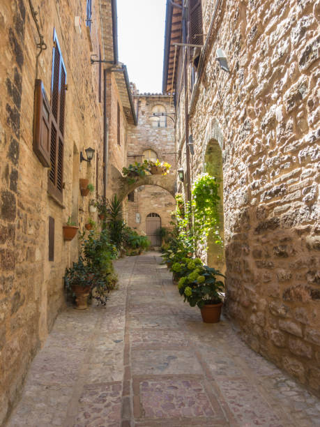 istock Spello, Italy. The medieval village 838481844