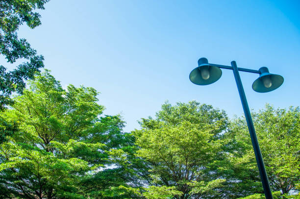 istock Light pole on a background of green trees 838482230