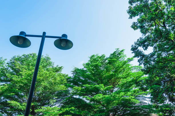 istock Light pole on a background of green trees 838482496