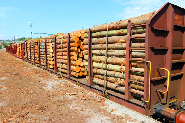 A large pile of cut pine logs stacked neatly beside a grassy meadow, with green trees and a bright blue sky in the background. The scene evokes rural labor, forestry, and sustainable wood supply in Denmark. Textures of bark and rings highlight nature's patterns and calm outdoor setting.