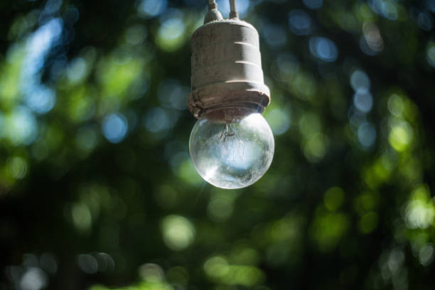 istock one lamp in green bokeh background 838482894