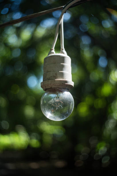 istock one lamp in green bokeh background 838483038