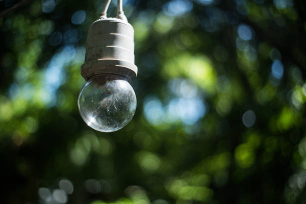 istock one lamp in green bokeh background 838483058