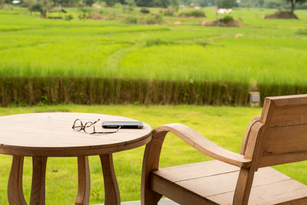 Glasses and mobile phone on chair with rice field background.