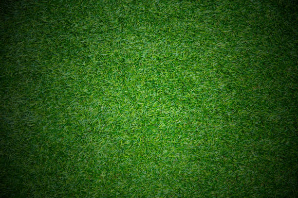 espaço de fundo de grama do conceito match jogo campo esporte para texto - spring organization nature field - fotografias e filmes do acervo