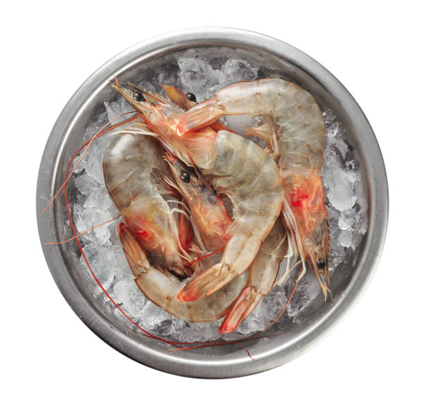 istock Fresh shrimps in a plate with ice. Seafood. 838488992