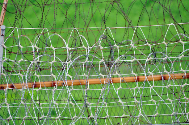 istock Military barbed wire entanglement 838489126