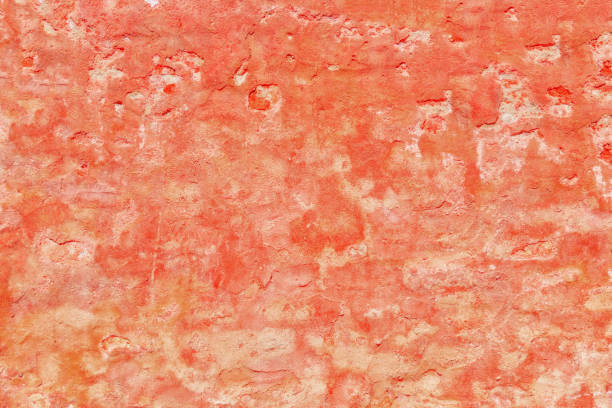 istock Texture of a medieval old plaster wall in Venice. 838490368