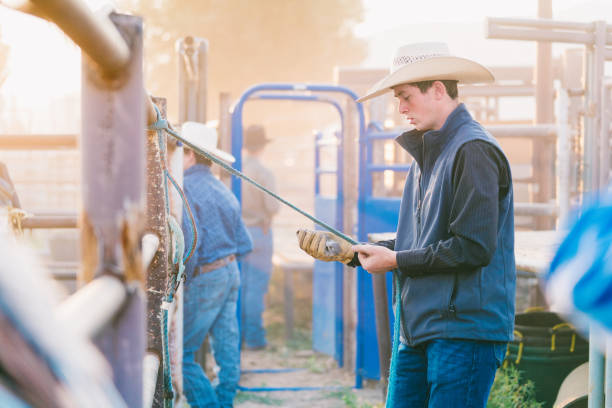 istock Young adult cowboy preparing for a rodeo 838491498
