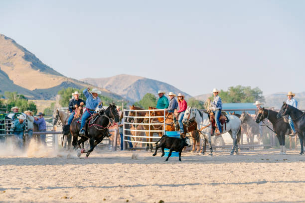 istock Young cowboy riding in a calf roping event at a rodeo 838492026