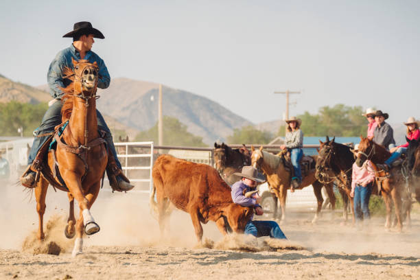 istock Cowboy trying to wrestle a steer to the ground 838492098
