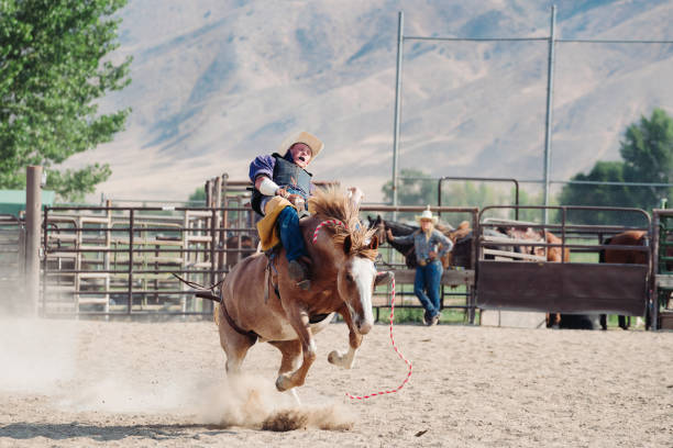 istock Cowboy riding bareback on a bucking horse 838492250