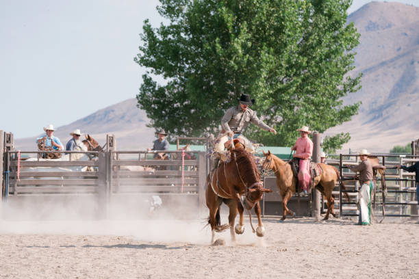 istock Cowboy riding bareback on a bucking horse 838492254