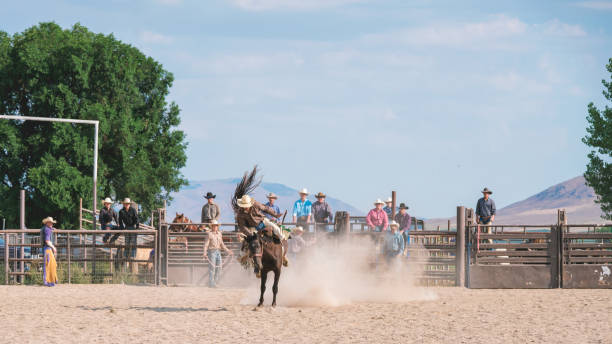 istock Cowboy riding bareback on a bucking horse 838492266