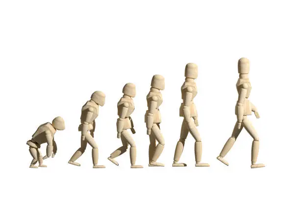 3d rendering of wooden mannequin toys prototype of human evolution on white background. Copyspace.