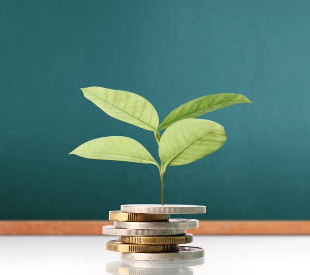 istock Coins graph stock market 838492846