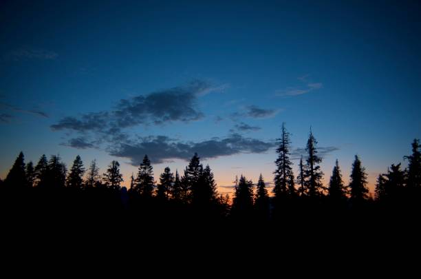 istock Beautiful Sunset | Sequoia National Park 838495962