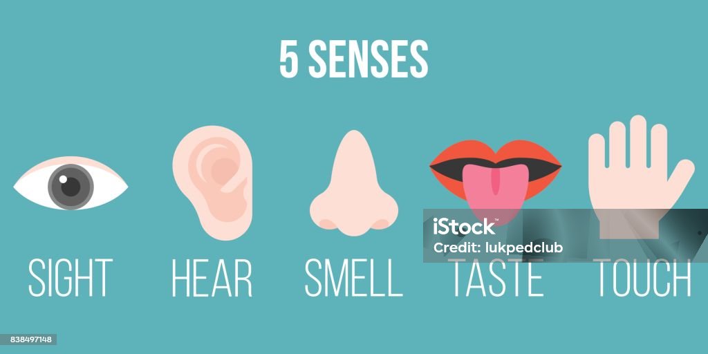 five senses icon, flat design with name, sight, hear, smell, taste, touch Sensory Perception stock vector