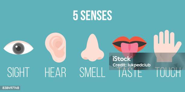 Five Senses Icon Flat Design With Name Sight Hear Smell Taste Touch Stock Illustration - Download Image Now