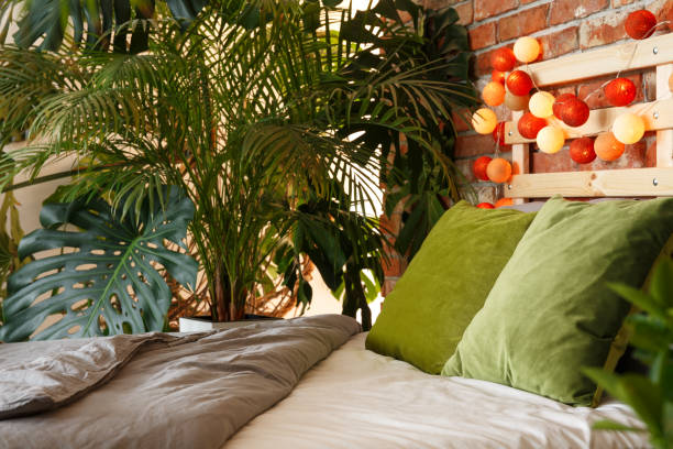 istock Bedroom for plant lover 838499560