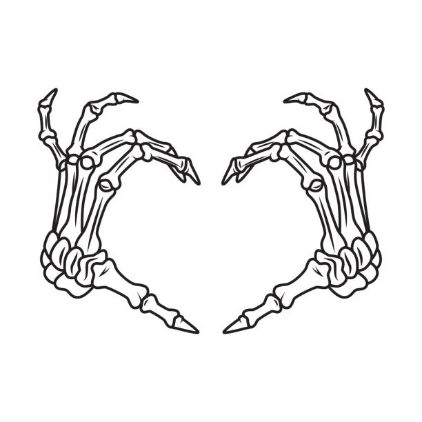 skelett hand - menschliches skelett stock-grafiken, -clipart, -cartoons und -symbole