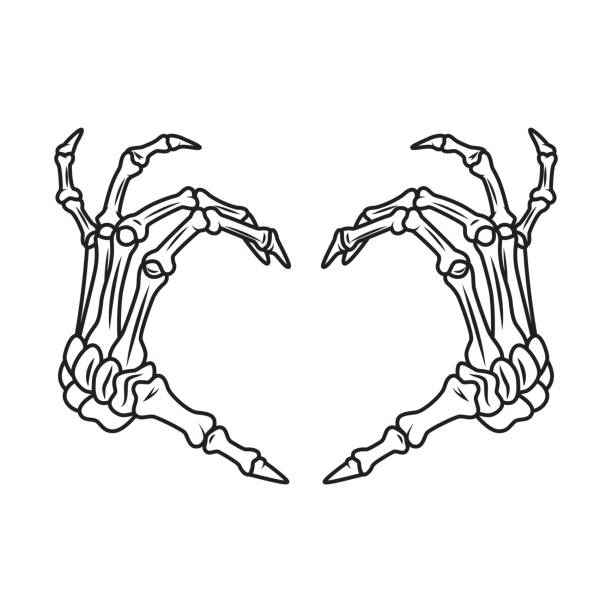 Skeleton hands Skeleton hand showing heart shape. Vector illustration. human skeleton stock illustrations