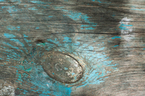 istock Texture of old wooden planks 838504172