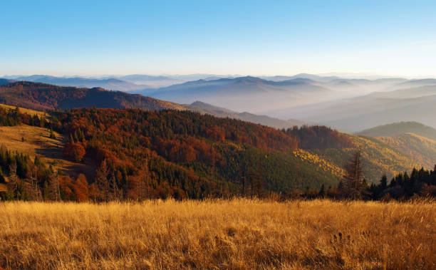 안개 자욱한 산맥의 언덕의 빨강, 오렌지 및 노란 낙 엽 숲에 덮여 - autumn sky blue treetop 뉴스 사진 이미지