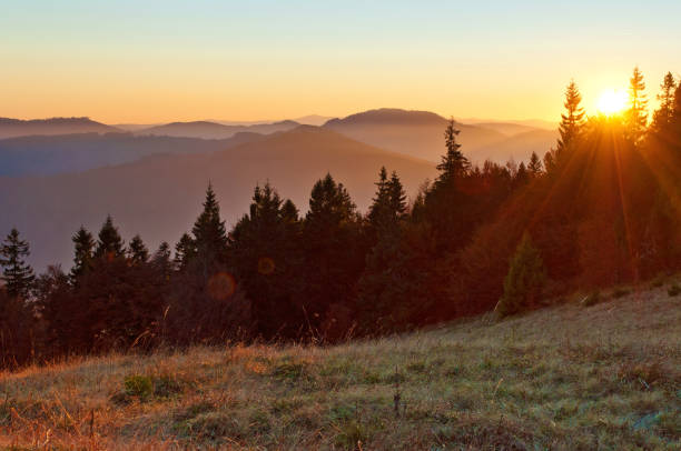 istock Rays of red sun setting among pines, spruce trees against smoky mountain range covered in purple grey mist 838508258