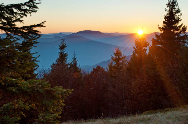 istock Rays of red sun setting among pines, spruce trees against smoky mountain range covered in purple grey mist 838508272