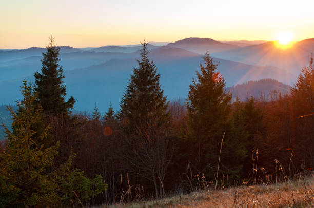 istock Rays of red sun setting among pines, spruce trees against smoky mountain range covered in purple grey mist 838508278