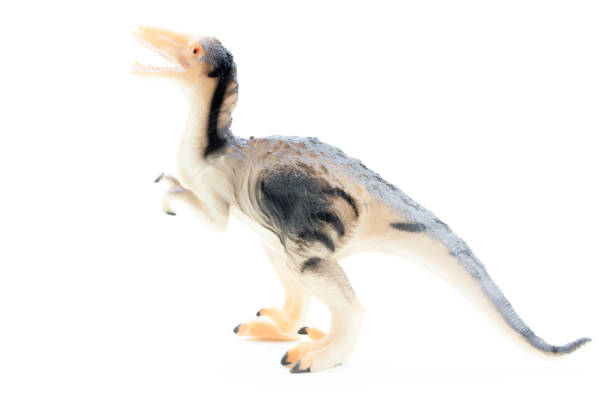 istock Dinosaur toy-Utahraptor 838508374